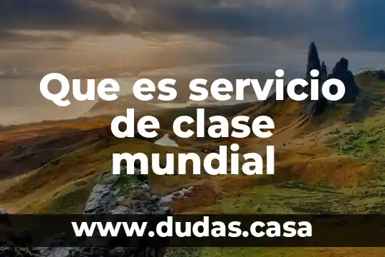 Que es servicio de clase mundial