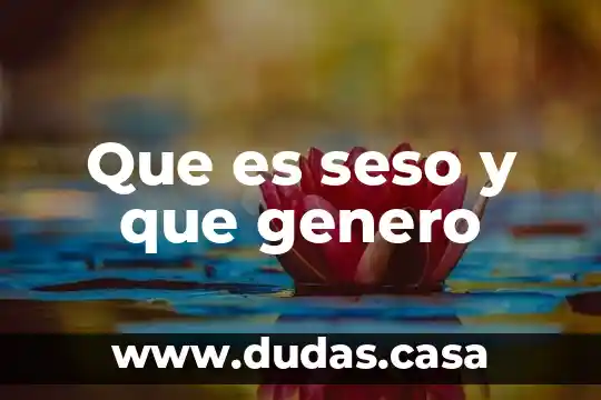 Que es seso y que genero