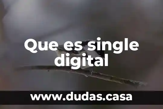 Que es single digital