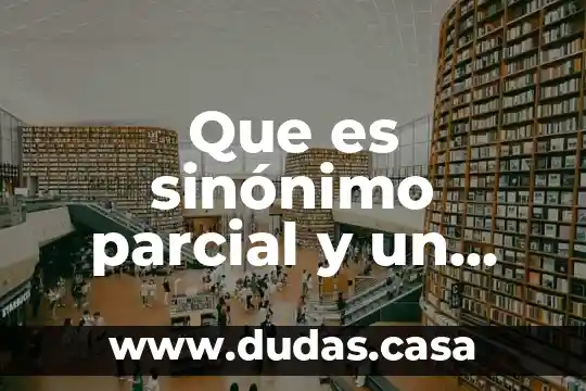 Que es sinónimo parcial y un ejemplo