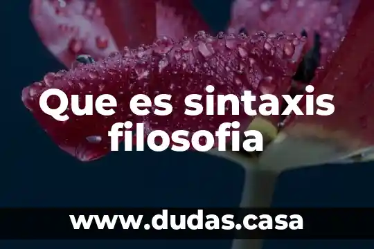 Que es sintaxis filosofia