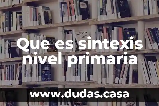 Que es sintexis nivel primaria