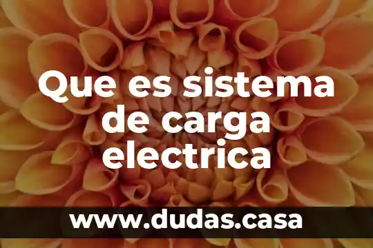 Que es sistema de carga electrica