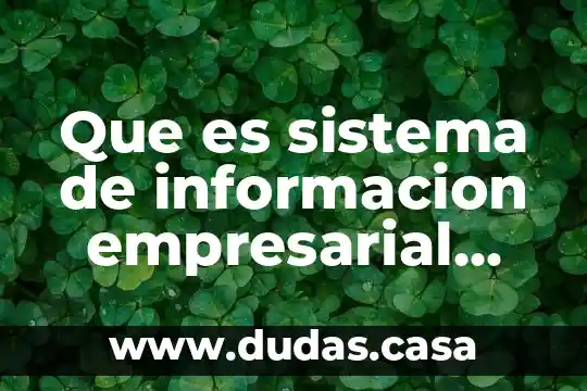 Que es sistema de informacion empresarial mexicano