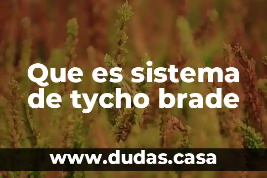 Que es sistema de tycho brade