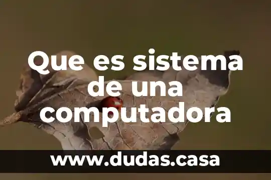 Que es sistema de una computadora