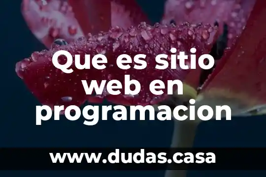 Que es sitio web en programacion