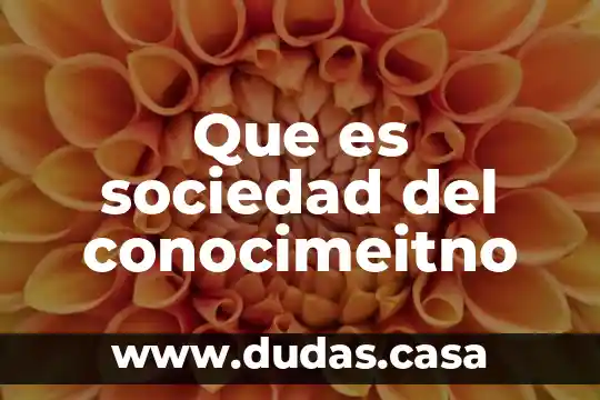Que es sociedad del conocimeitno