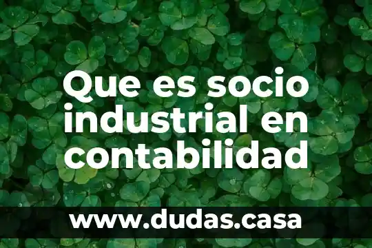 Que es socio industrial en contabilidad