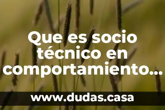 Que es socio técnico en comportamiento organizacional