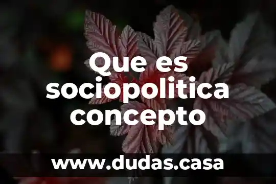 Que es sociopolitica concepto