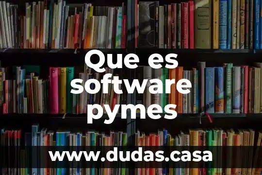 Que es software pymes
