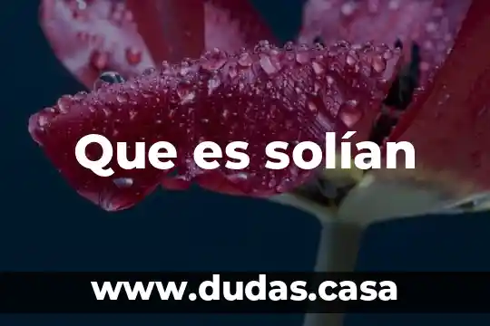 Que es solían