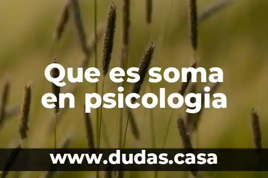 Que es soma en psicologia