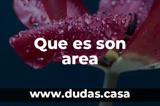 Que es son area