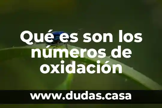 Qué es son los números de oxidación