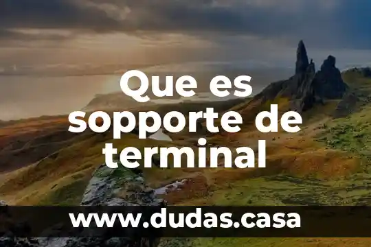 Que es sopporte de terminal