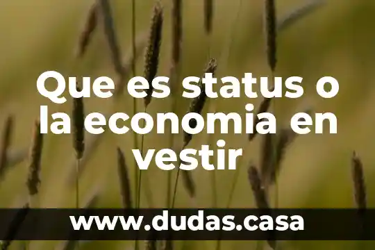 Que es status o la economia en vestir