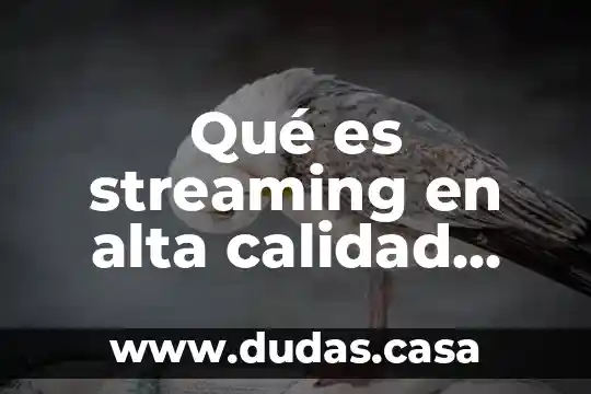 Qué es streaming en alta calidad Spotify