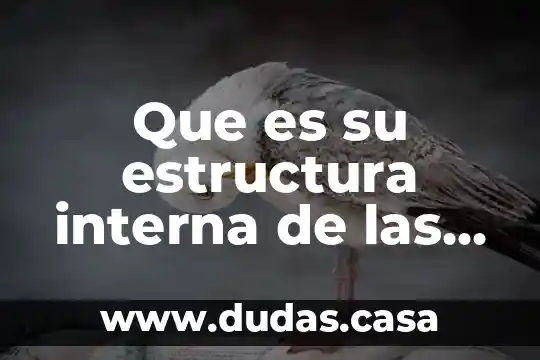 Que es su estructura interna de las plantas