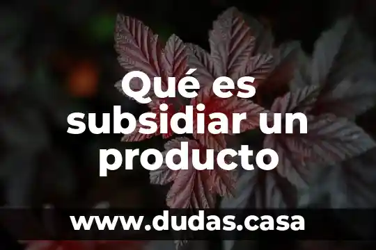 Qué es subsidiar un producto