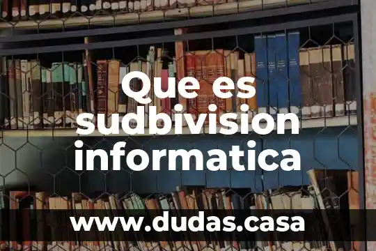Que es sudbivision informatica
