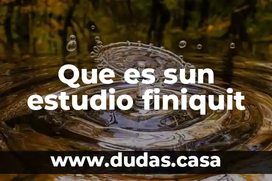 Que es sun estudio finiquit