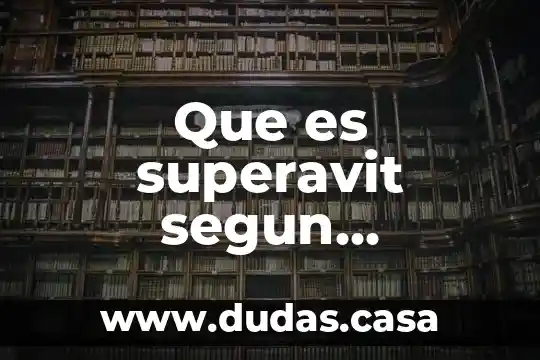 Que es superavit segun diferentes autores