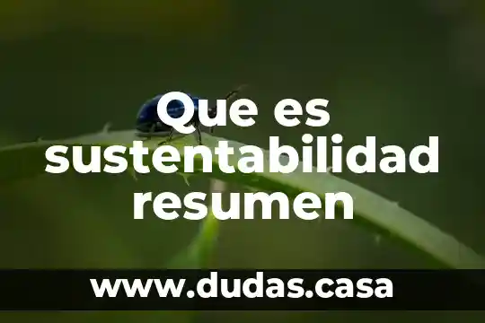 Que es sustentabilidad resumen