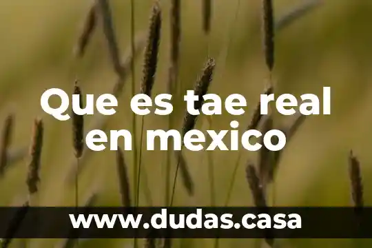 Que es tae real en mexico