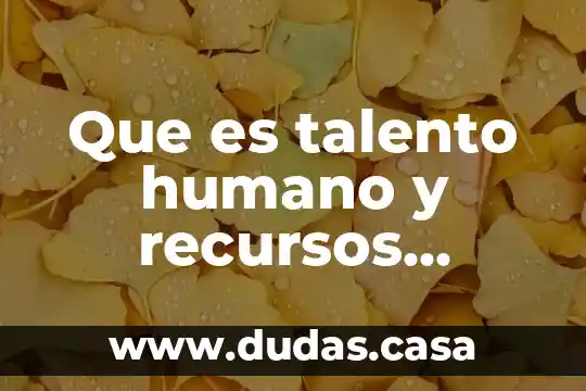Que es talento humano y recursos humanos