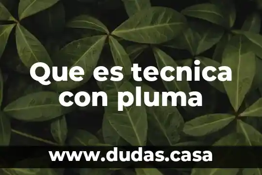 Que es tecnica con pluma