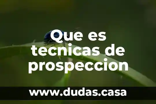 Qué es técnicas de control 3 Que es tecnicas de prospeccion
