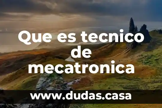 Que es tecnico de mecatronica