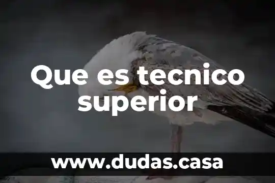 Que es tecnico superior
