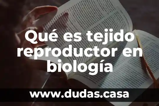 Qué es tejido reproductor en biología 12 Qué es tejido reproductor en biología