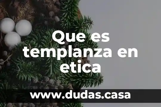 Que es templanza en etica