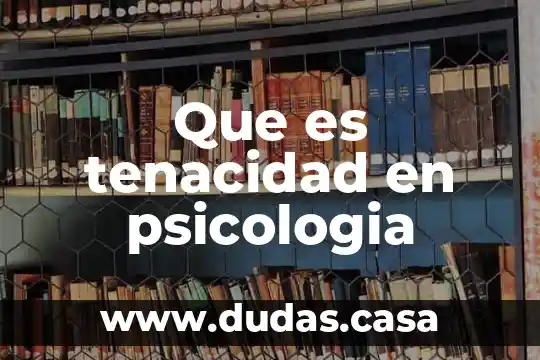 Que es tenacidad en psicologia