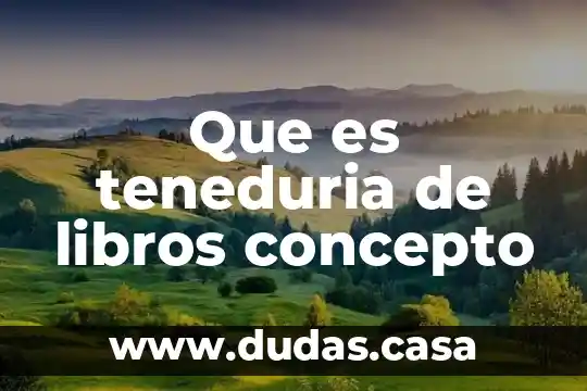 Que es teneduria de libros concepto