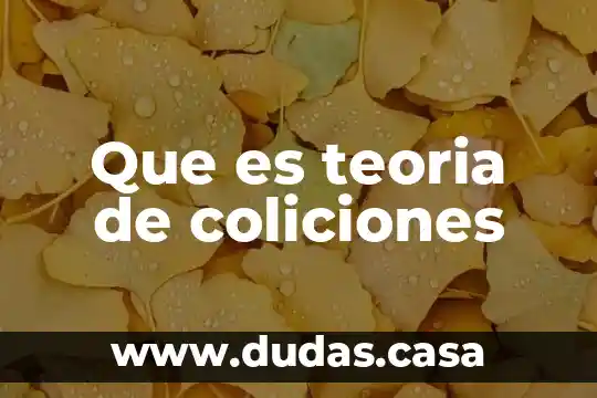Que es teoria de coliciones