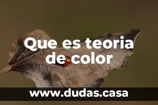 Que es teoria de color