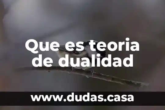 Que es teoria de dualidad