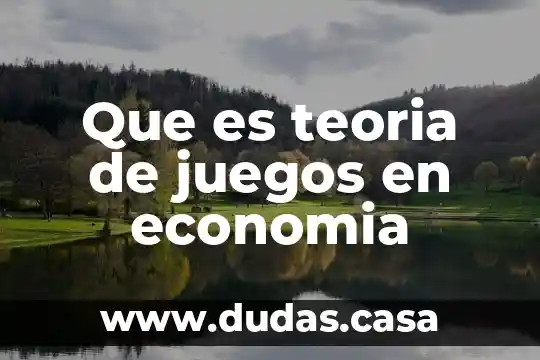 Que es teoria de juegos en economia