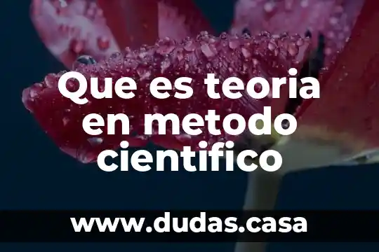 Que es teoria en metodo cientifico