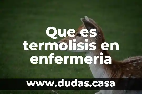 Que es termolisis en enfermeria