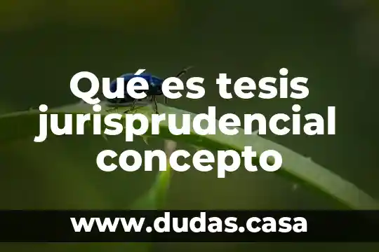 Qué es tesis jurisprudencial concepto