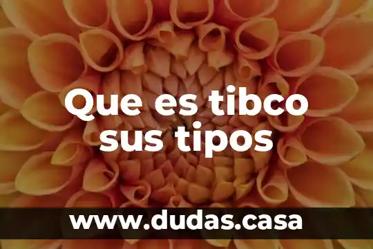 Que es tibco sus tipos