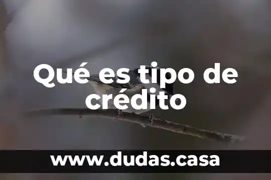 Que es tipo de protrombina 8 Qué es tipo de crédito
