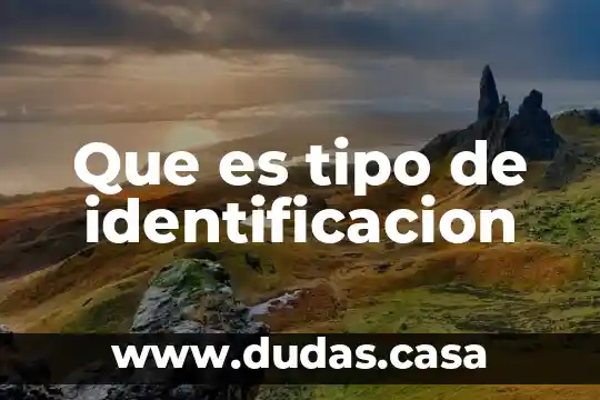 Que es tipo de identificacion