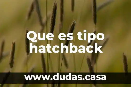 Que es tipo hatchback